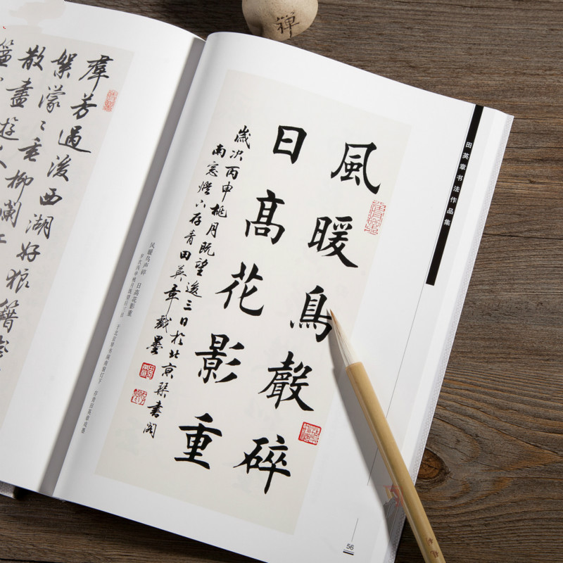 Ouyang Xun Brush Calligraphy C - Chinese Calligraphy Practice Book review and price
