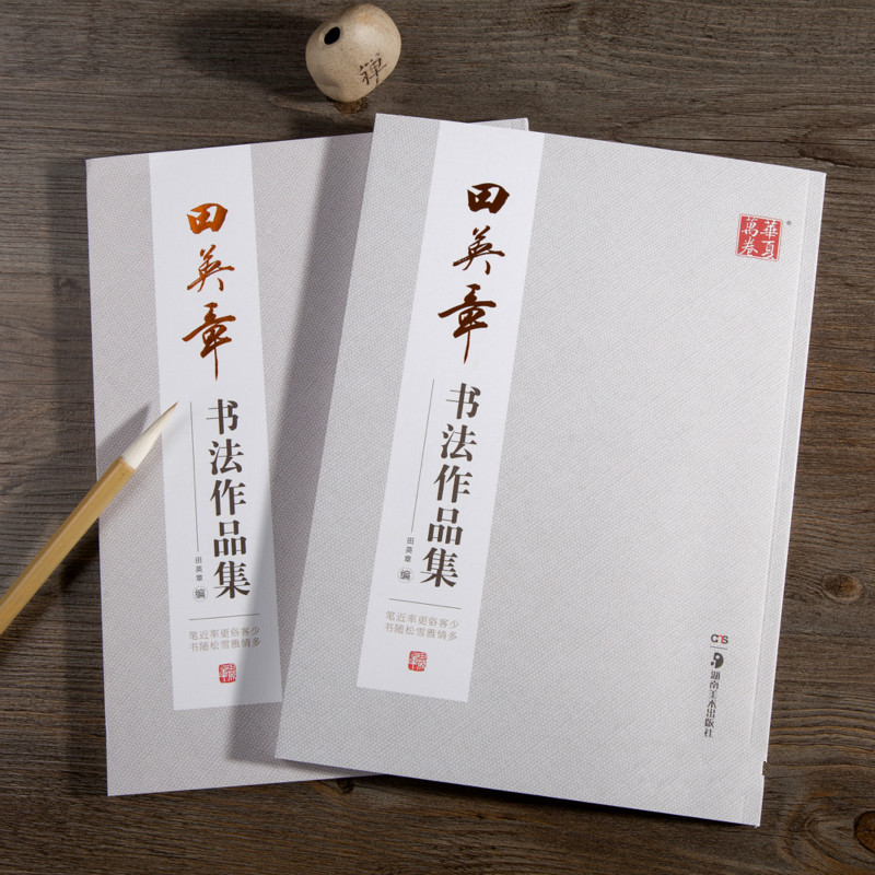 Ouyang Xun Brush Calligraphy C - Chinese Calligraphy Practice Book review and price